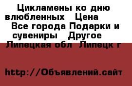 Цикламены ко дню влюбленных › Цена ­ 180 - Все города Подарки и сувениры » Другое   . Липецкая обл.,Липецк г.